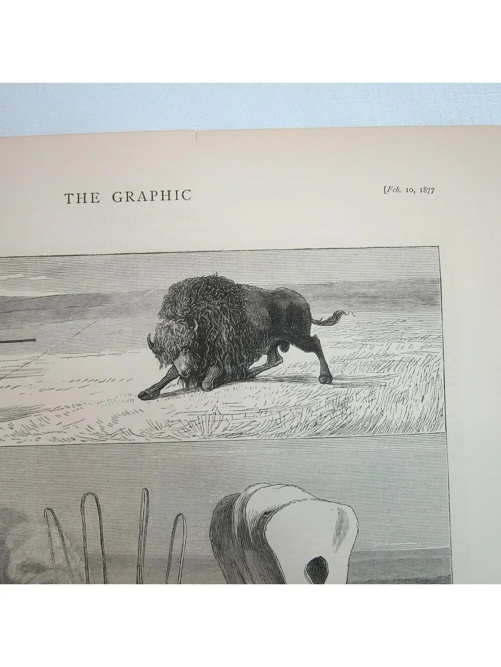 Antique 1877 Print A Days Still Hunting After North American Buffalo The Graphic